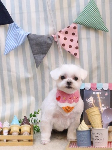 20250525マルちゃん